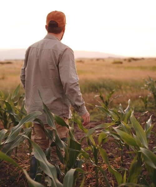 У чотирьох областях України — гострий дефіцит кадрів в агросекторі