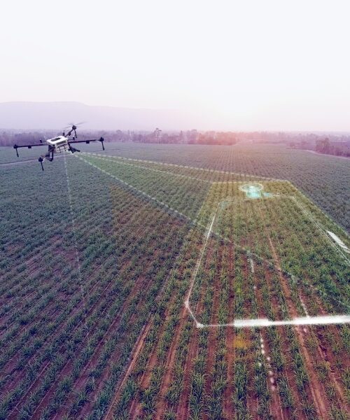 Цифровізація агробізнесу здатна збільшити врожайність на 30-40 %: на які технології варто звернути увагу