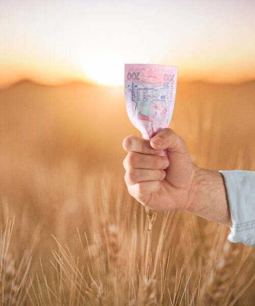 Ветеранам надають до 1 млн грн на агробізнес: як отримати кошти