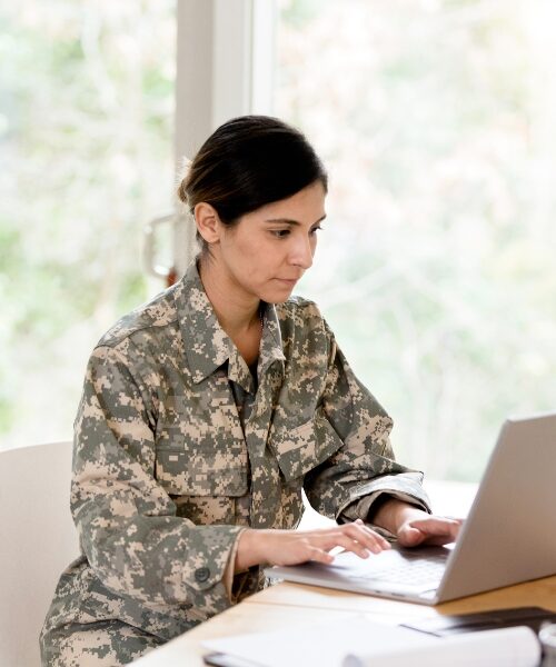 Як правильно організувати успішне агропідприємство ветерани дізнаються під час трьох вебінарів