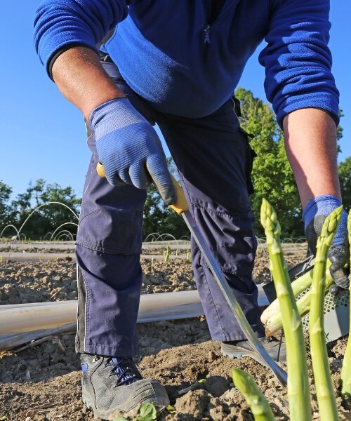 Як отримати до мільйона гривень прибутку, вклавши 20 тисяч: ветеранів навчають агробізнесу