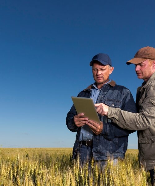 Від ідеї – до розроблення бізнес-стратегії: як ветеранам започаткувати власну справу й знайти на це кошти