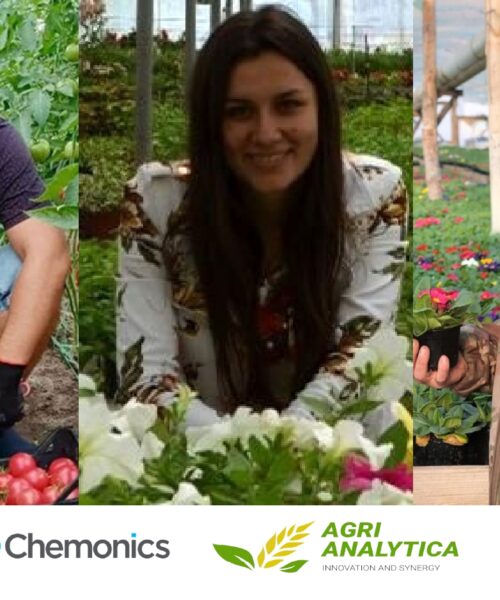 Ветеранам розкажуть, як заснувати чи розвинути тепличний бізнес